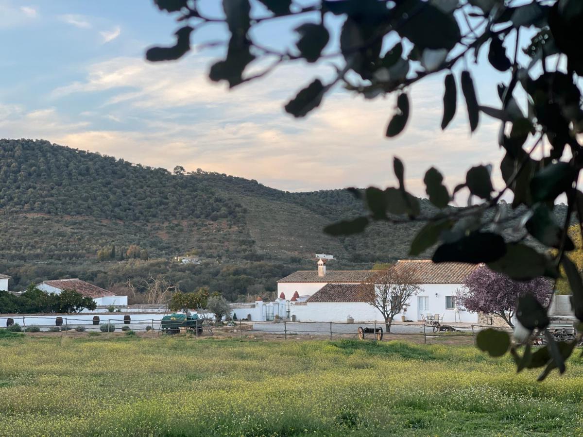 Cortijo Huerta Galindo Guest House Alanís Exterior photo
